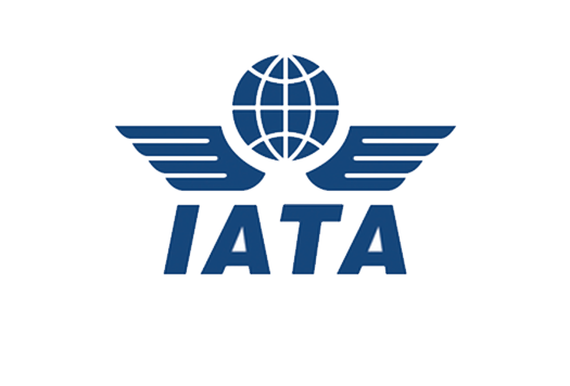 INTERNATIONAL AIR TRANSPORT ASSOCIATION (IATA)